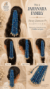 ChatGPT Image Aug 17, 2026, 09_12_26 PM